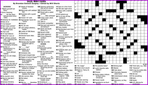 Bug catcher Crossword Clue NYT