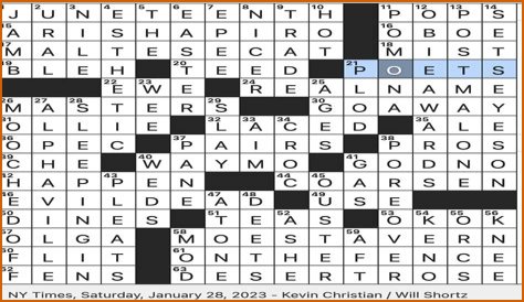 Price for vice Crossword Clue NYT