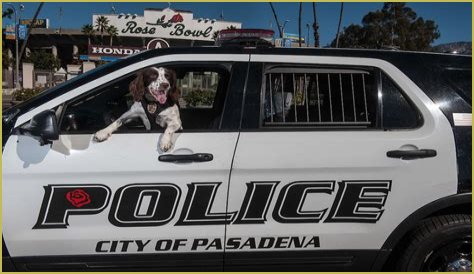 Unraveling The Pasadena Police Chase Today: A Closer Look